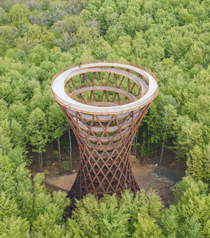 Camp Adventure Forest Tower -      